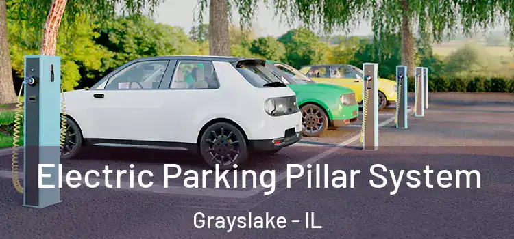  Electric Parking Pillar System Grayslake - IL